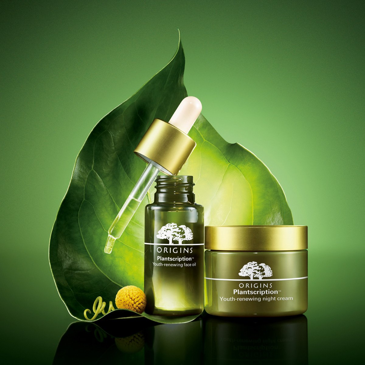 A skincare set including a face oil in a dark green bottle with a dropper, a night cream in a matching jar, and a large green leaf in the background, with a small yellow flower at the base.