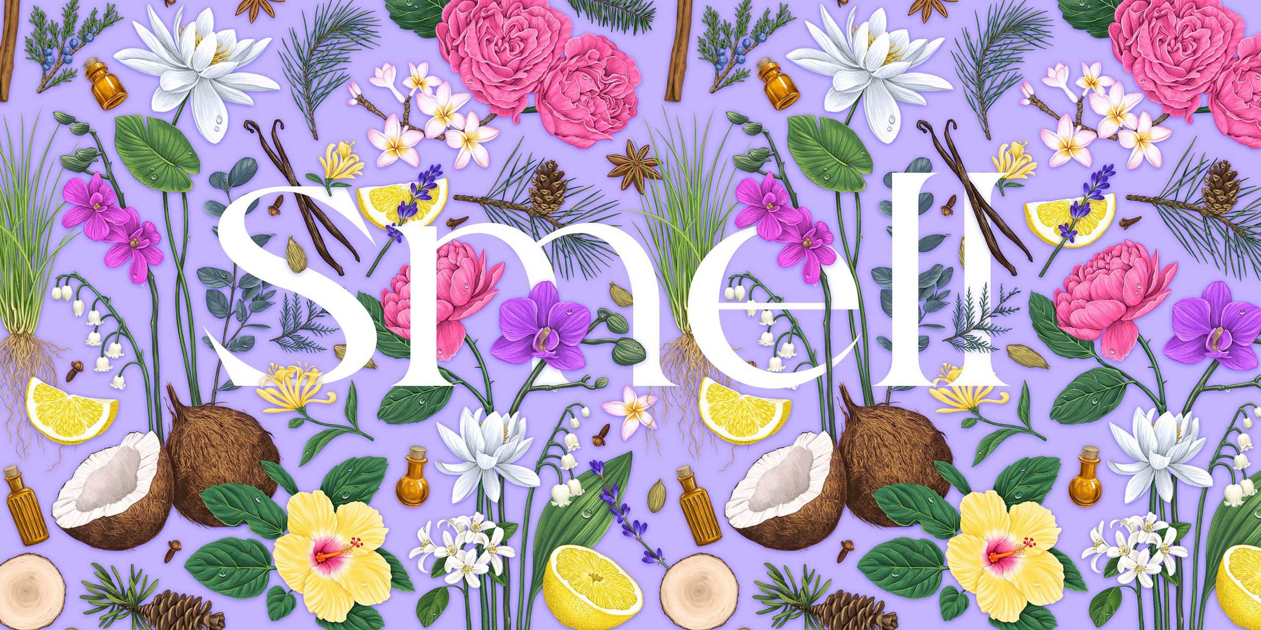 Colorful floral and botanical arrangement with pink, purple, and white flowers, lemons, coconut, pinecones, herbs, and small bottles, on a purple background.